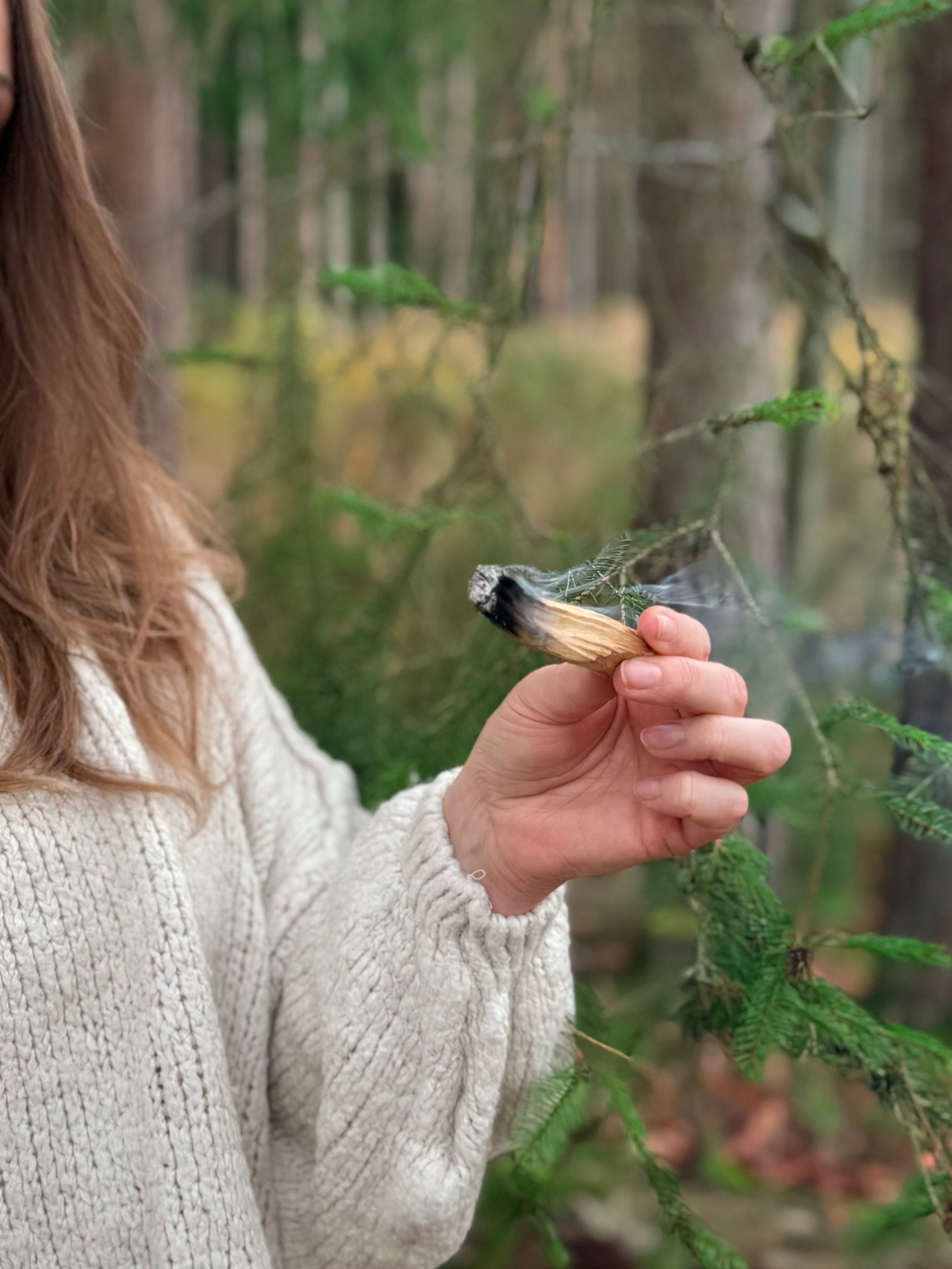 Palo Santo Stick